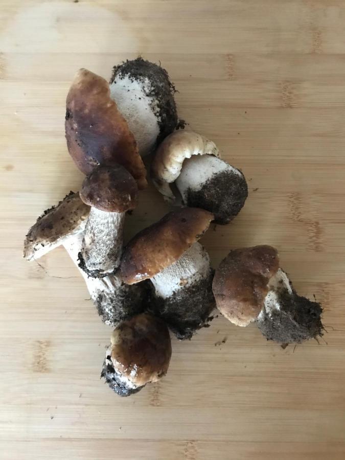 Mazurska Stodola Na Polwyspie Pilchowskim Pilchy 외부 사진